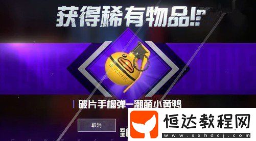 和平精英小黃鴨手雷價(jià)格及外觀介紹 - 338點(diǎn)券購買潮萌小黃鴨系列皮膚