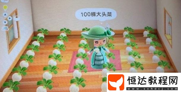 集合啦動(dòng)物森友會(huì)大頭菜防偷技巧：如何保護(hù)你的大頭菜不被偷走