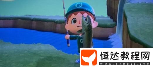 動(dòng)物森友會(huì)遠(yuǎn)東哲羅魚釣魚技巧：出現(xiàn)時(shí)間、位置與**布局全攻略