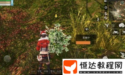 明日之后植樹(shù)節(jié)積分獲取攻略：如何快速收集種子兌換豐富獎(jiǎng)勵(lì)