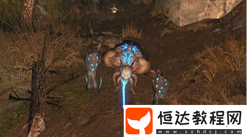 明日之后茅斯沼澤地圖詳解：沼澤、密林、倉(cāng)庫(kù)三大區(qū)域攻略與危險(xiǎn)提示