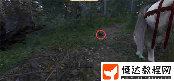 天國拯救2祖?zhèn)鲗毼锶蝿?wù)攻略