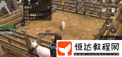 明日之后養(yǎng)豬攻略：正確養(yǎng)豬的詳細(xì)步驟