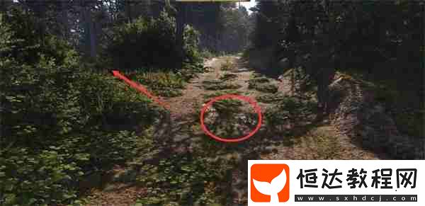 天國拯救2祖?zhèn)鲗毼锶蝿?wù)攻略