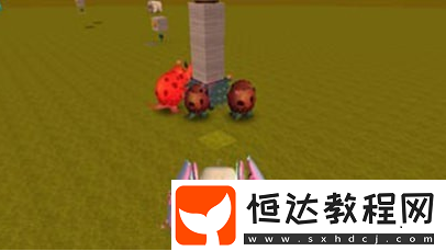 迷你世界爆爆蛋陷阱制作教程 工具與流程全解析
