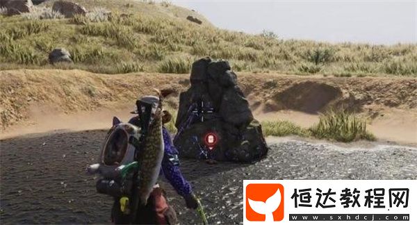 七日世界集成激光指示器獲取方法