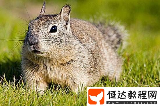 你敢信嗎