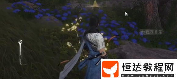 燕云十六聲將軍祠蹊蹺位置大全