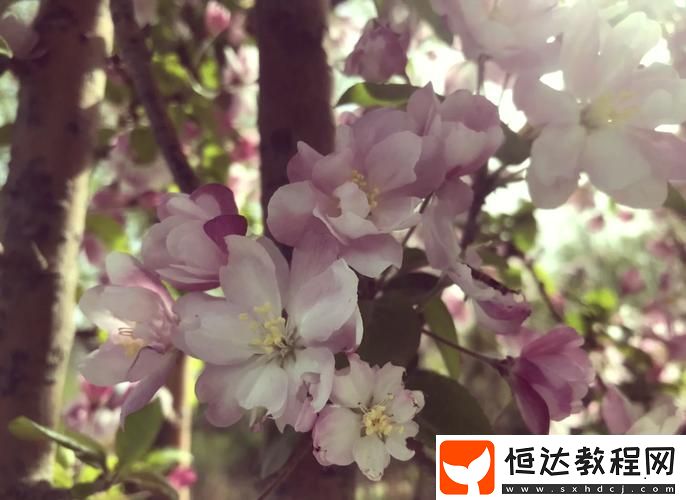 被系統(tǒng)澆灌的日常雙/產(chǎn)海棠