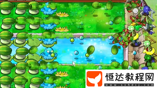 植物大戰(zhàn)僵尸雜交版泳池防守第6關(guān)攻略