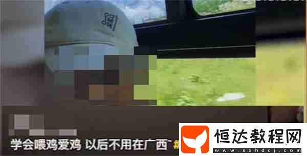 抖音學(xué)會(huì)喂雞愛(ài)雞以后不用在廣西是什么梗